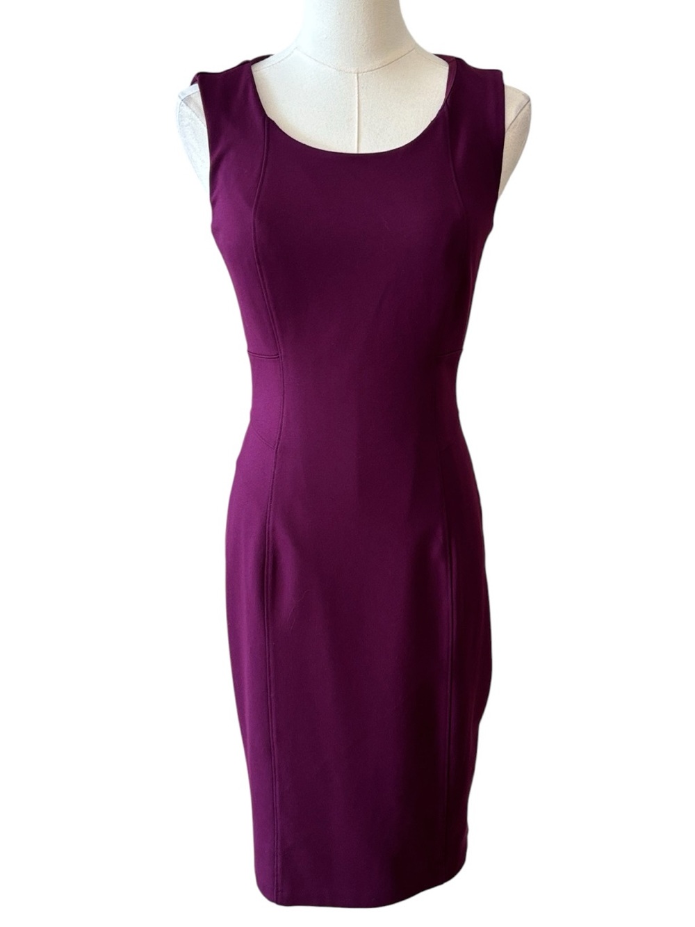WHBM Purple Sleeveless Sheath Dress Size 2